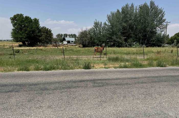 photo 4: 3rd Street, Lot #8, Richfield ID 83349