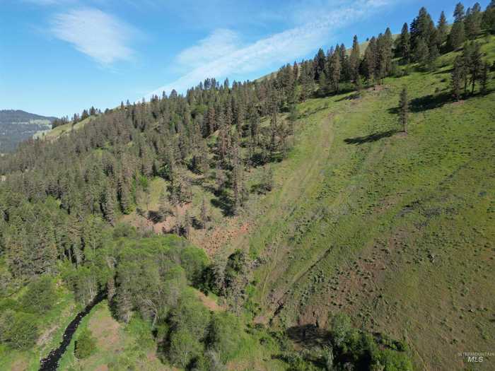 photo 50: TBD Twisted Tree Lane, Peck ID 83545