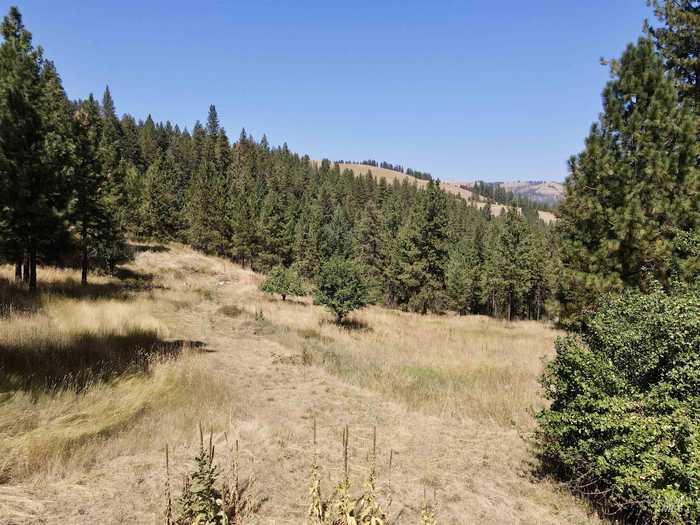 photo 49: 22545 Angel Ridge Road, Peck ID 83545