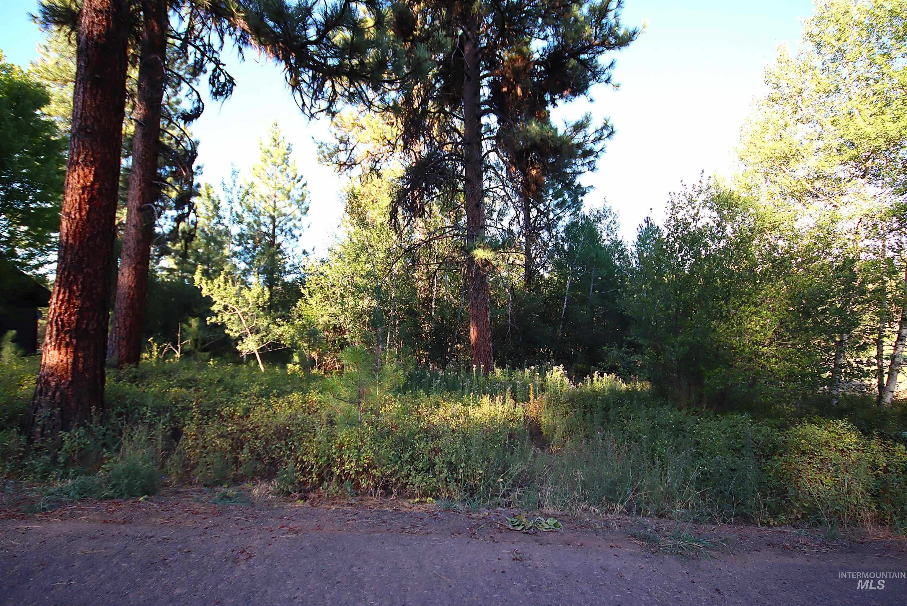 photo 1: L5 Ponderosa Court, New Meadows ID 83654