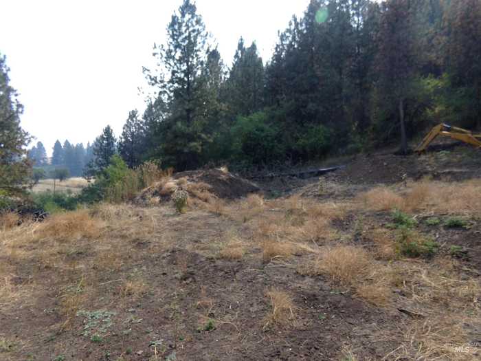 photo 1: 21650 Antler Lane, Lenore ID 83503