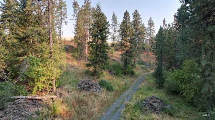 photo 2: NKA Moscow Mountain Rd, Moscow ID 83843