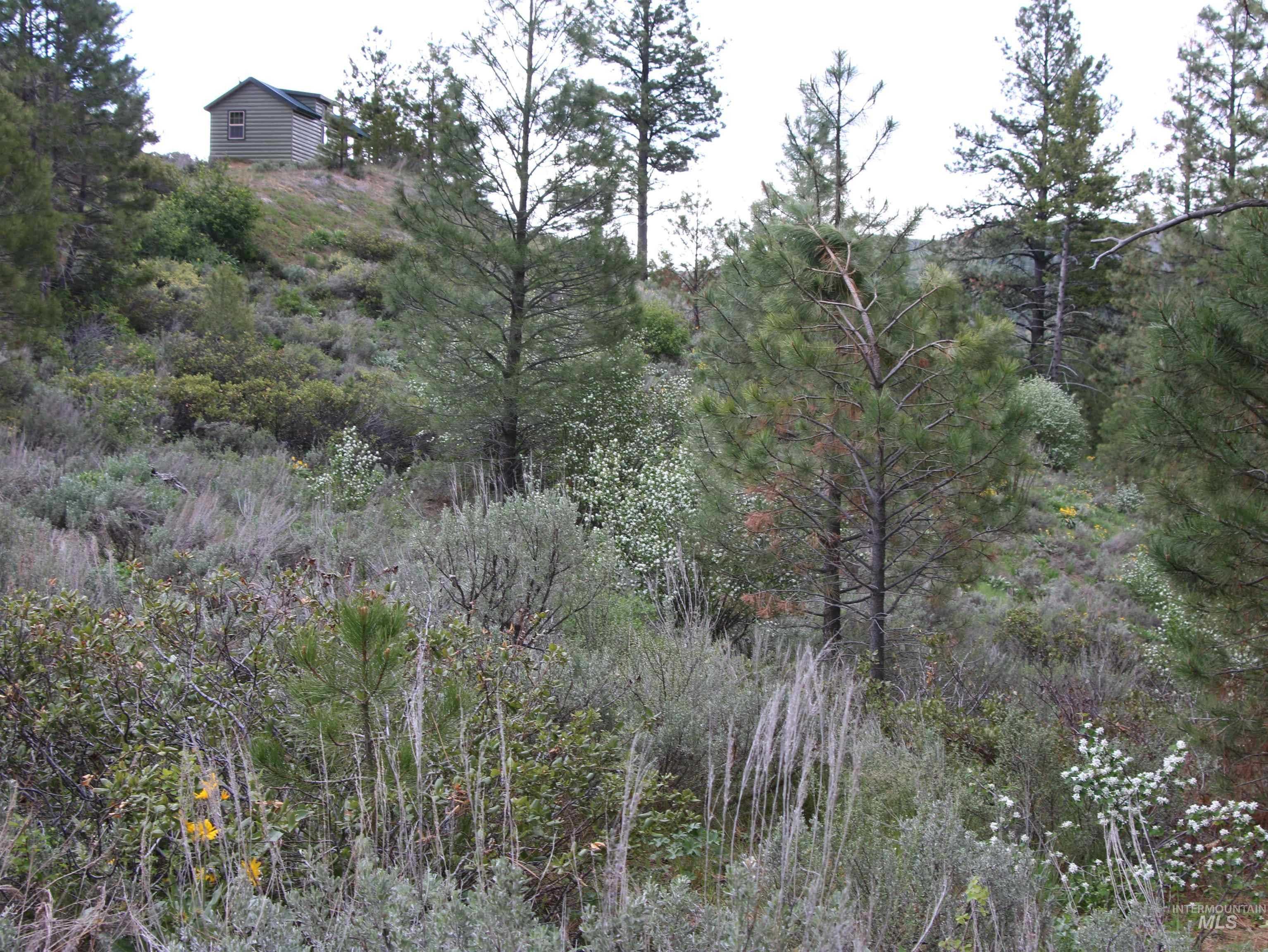 photo 2: TBD Strawberry Loop, Prairie ID 83647