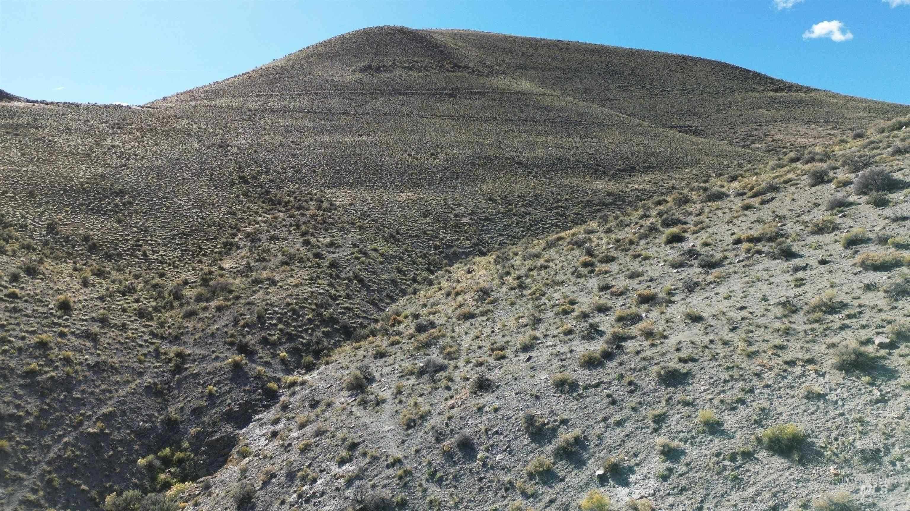 photo 3: TBD Morgan Creek Rd, Challis ID 83226