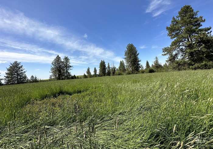 photo 1: TBD Lukes Gulch Parcel C, Grangeville ID 83530