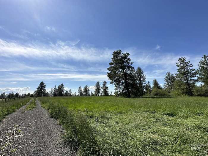 photo 2: TBD Lukes Gulch Parcel C, Grangeville ID 83530