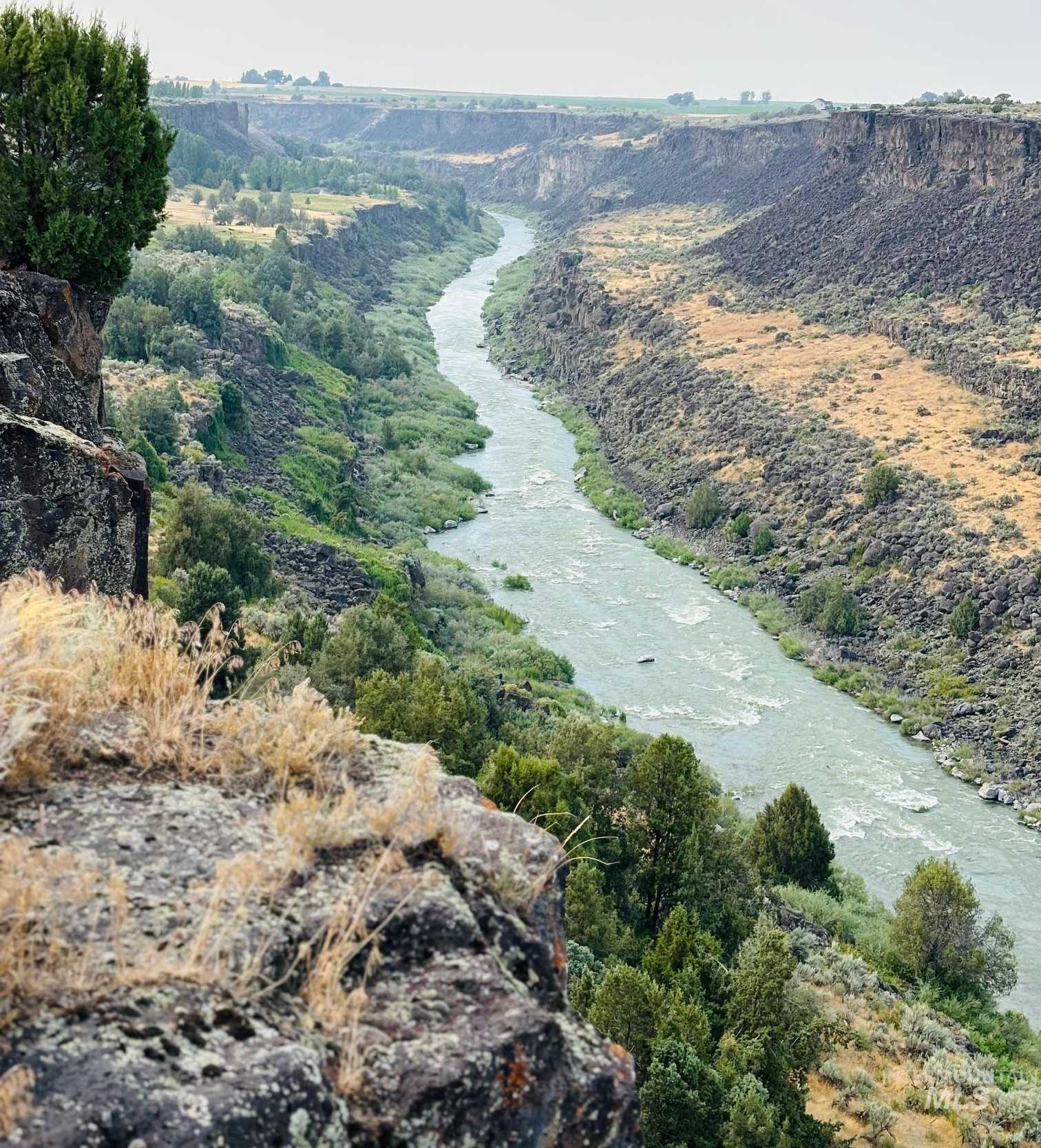 photo 3: TBD Murtaugh Canyon, Murtaugh ID 83344