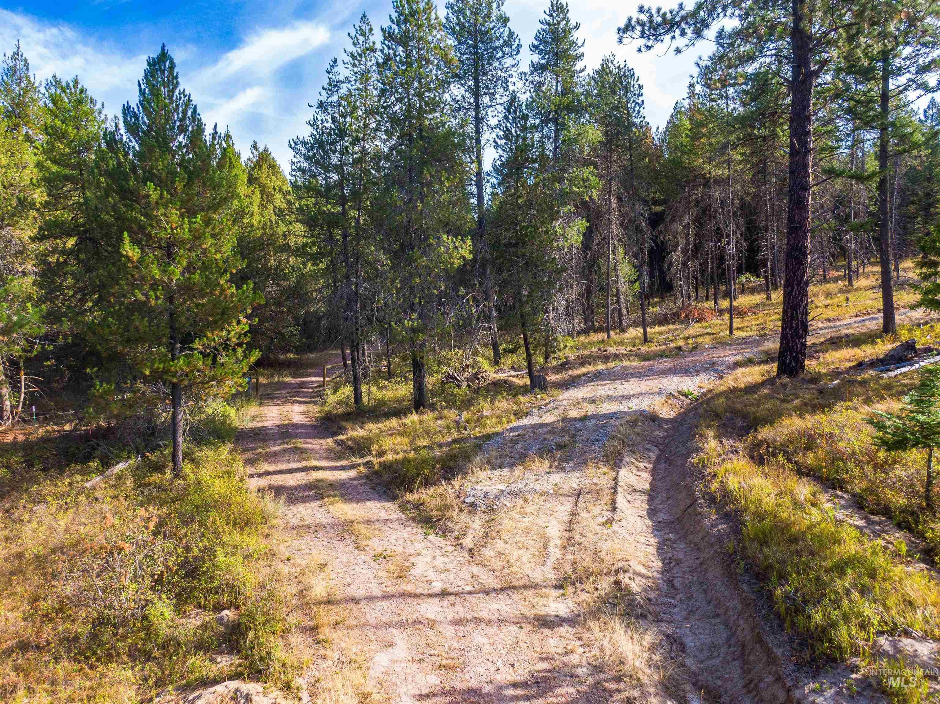 photo 3: TBD Hatter Creek, Princeton ID 83857