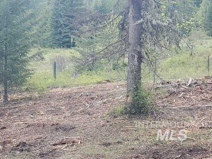 photo 49: TBD Off Grangeville Salmon Rd, Grangeville ID 83530