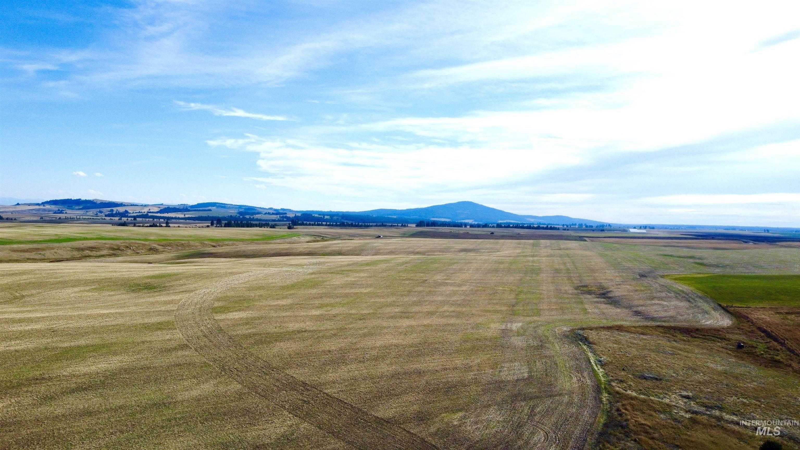 photo 1: TBD Westlake Rd (80ac), Craigmont ID 83523