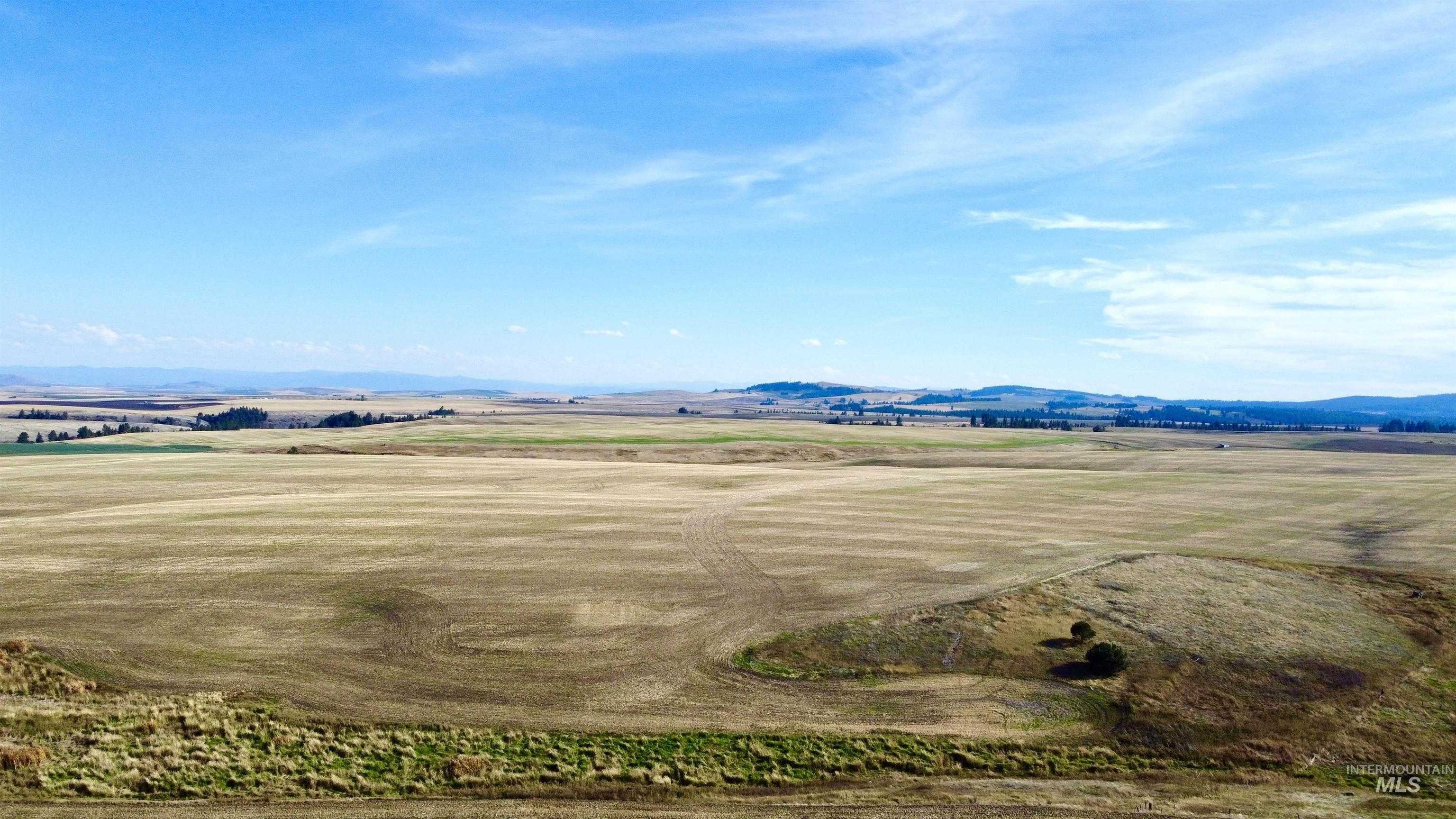 photo 3: TBD Westlake Rd (80ac), Craigmont ID 83523