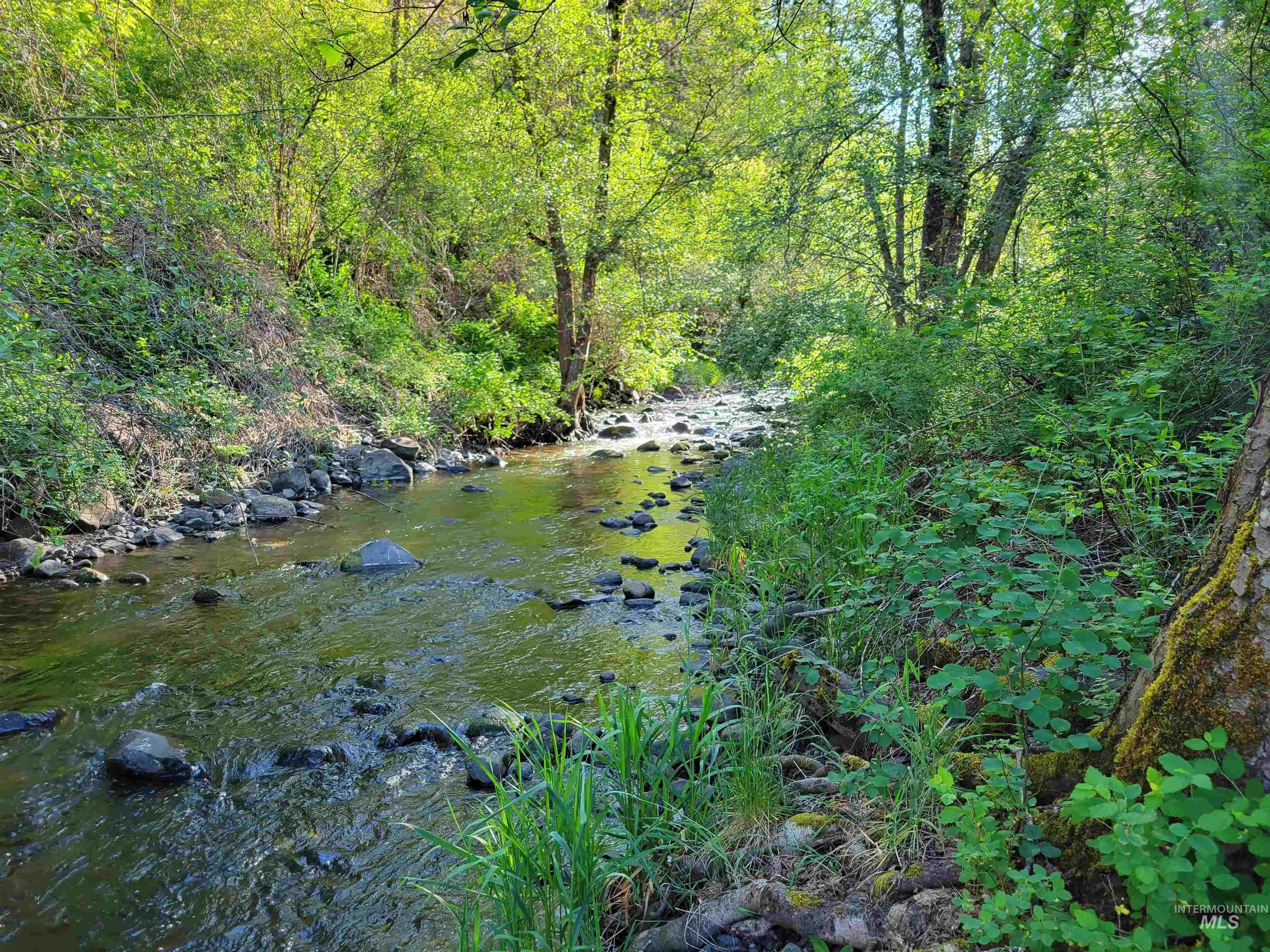 photo 1: TBD Twisted Tree Lane, Peck ID 83545