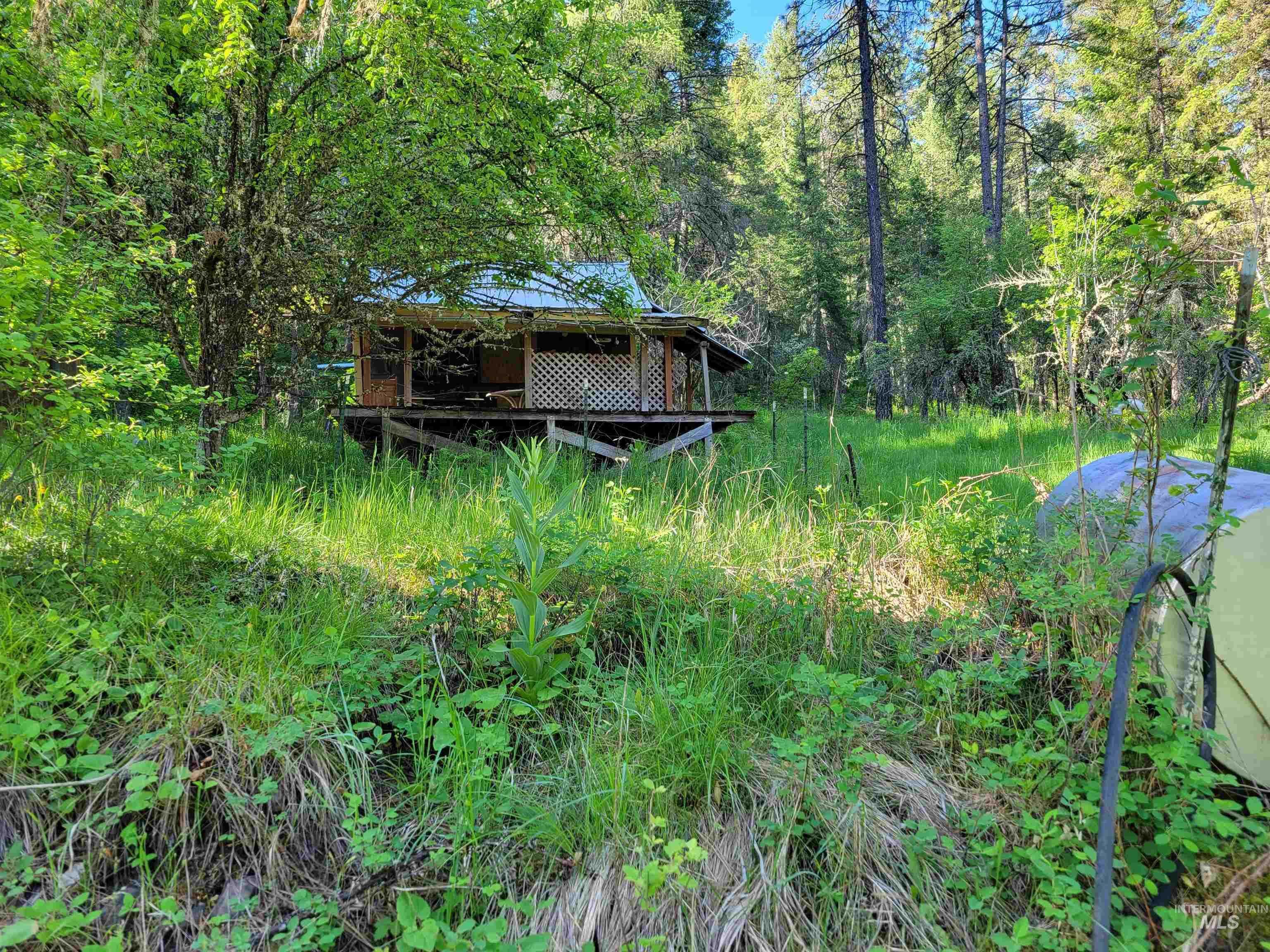 photo 3: TBD Twisted Tree Lane, Peck ID 83545