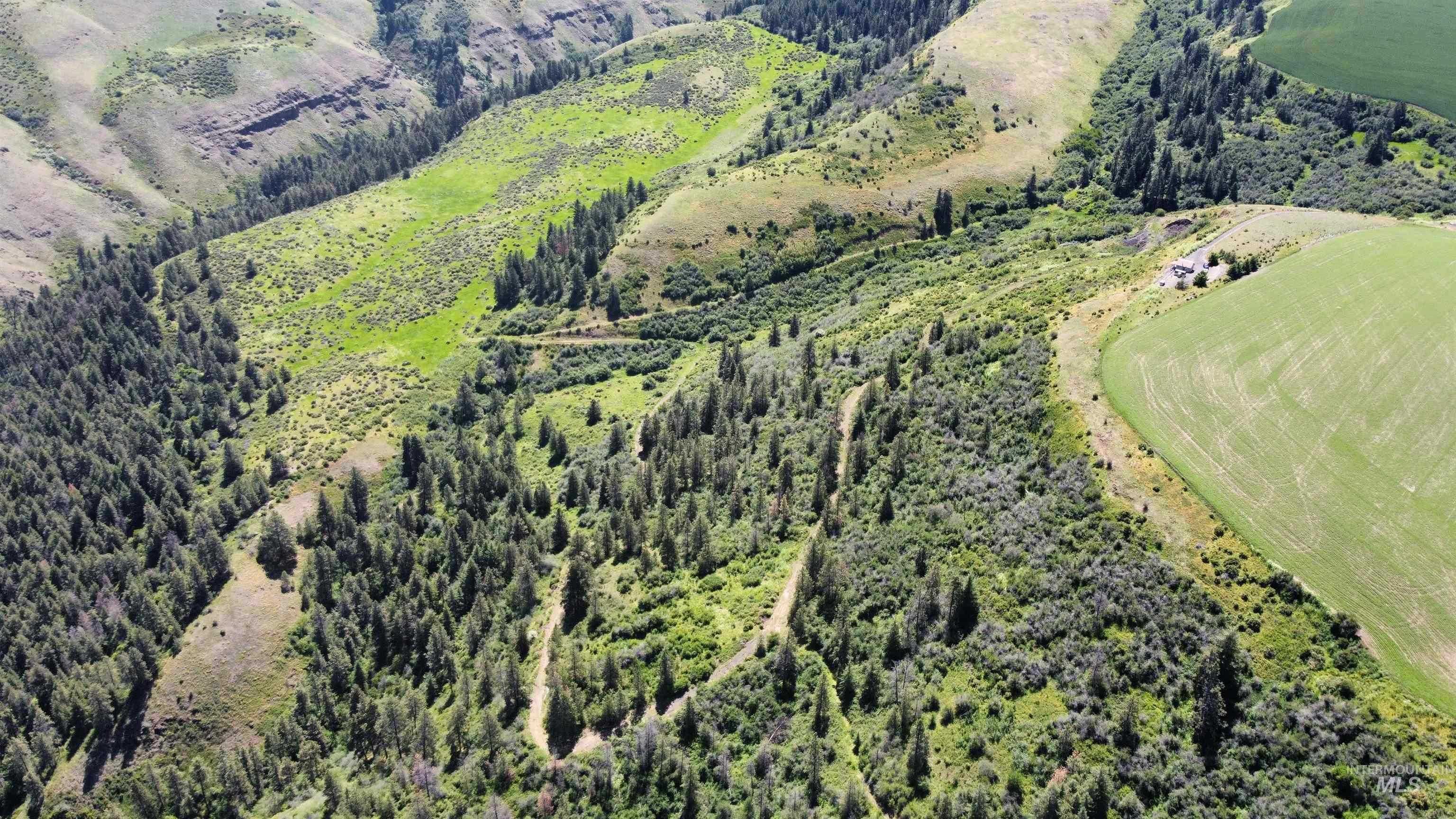 photo 2: 37607 Webb Ridge Rd., Lapwai ID 83540