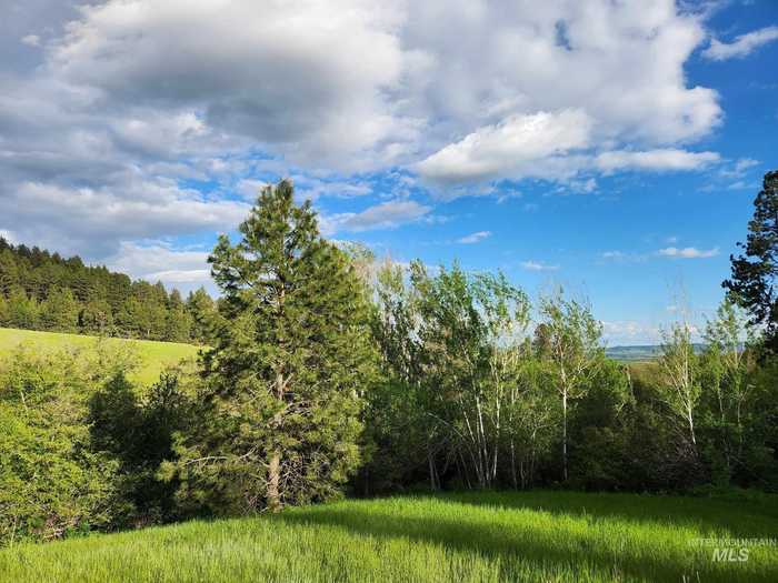 photo 8: TBD Ken Trail, Moscow ID 83843