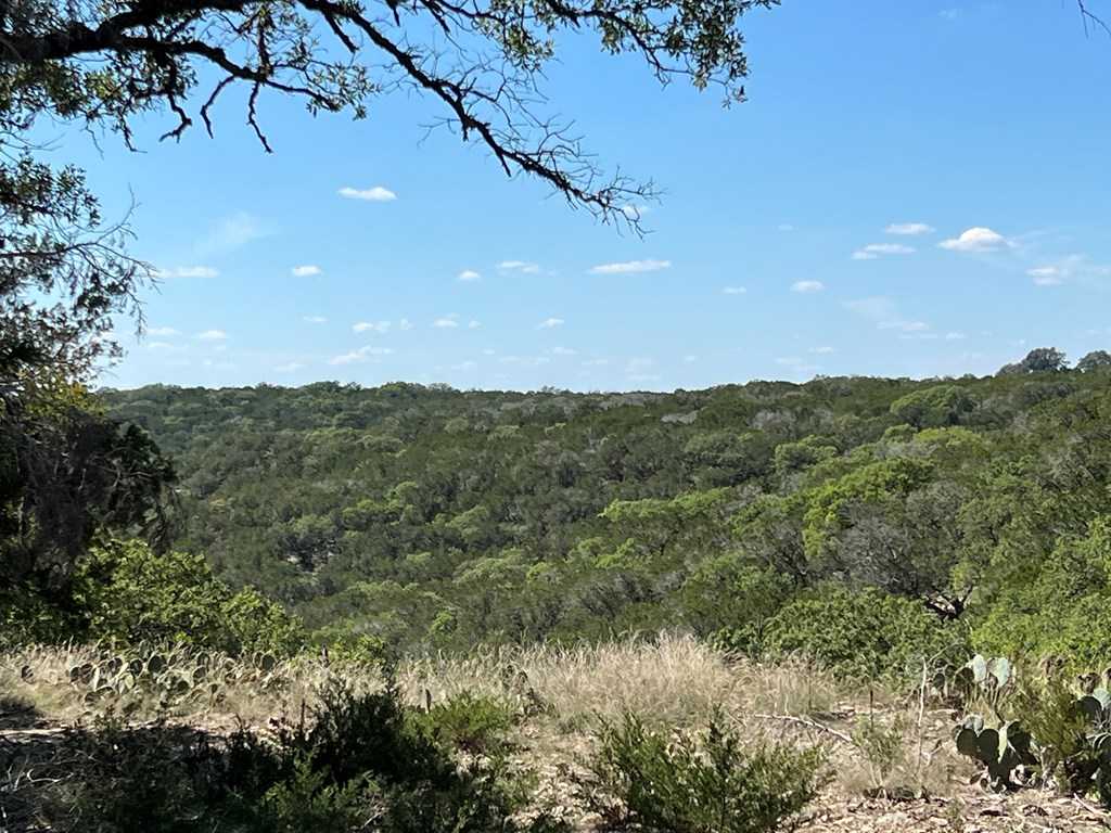 photo 2: 114 Deer Haven, Hunt TX 78024