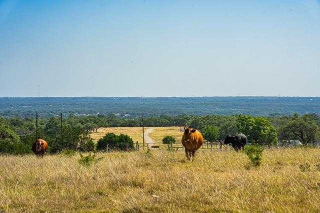 photo 2: 101 Other, Mountain Home TX 78058