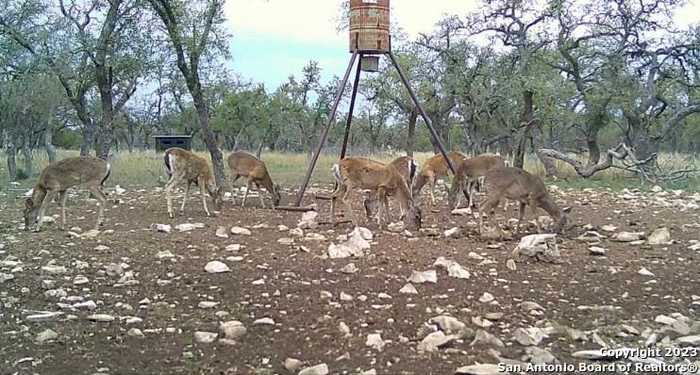 photo 15: Stevens Ranch Rd., Harper TX 78631