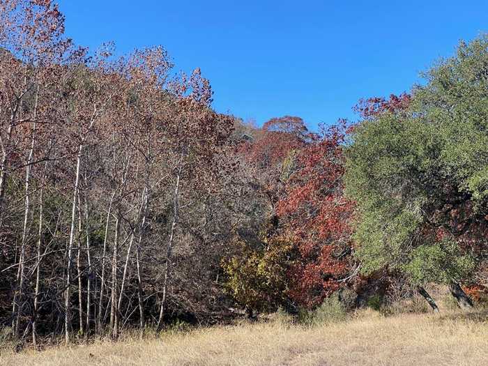 photo 1: Lot 134 Shapen Springs Rd, Harper TX 78631