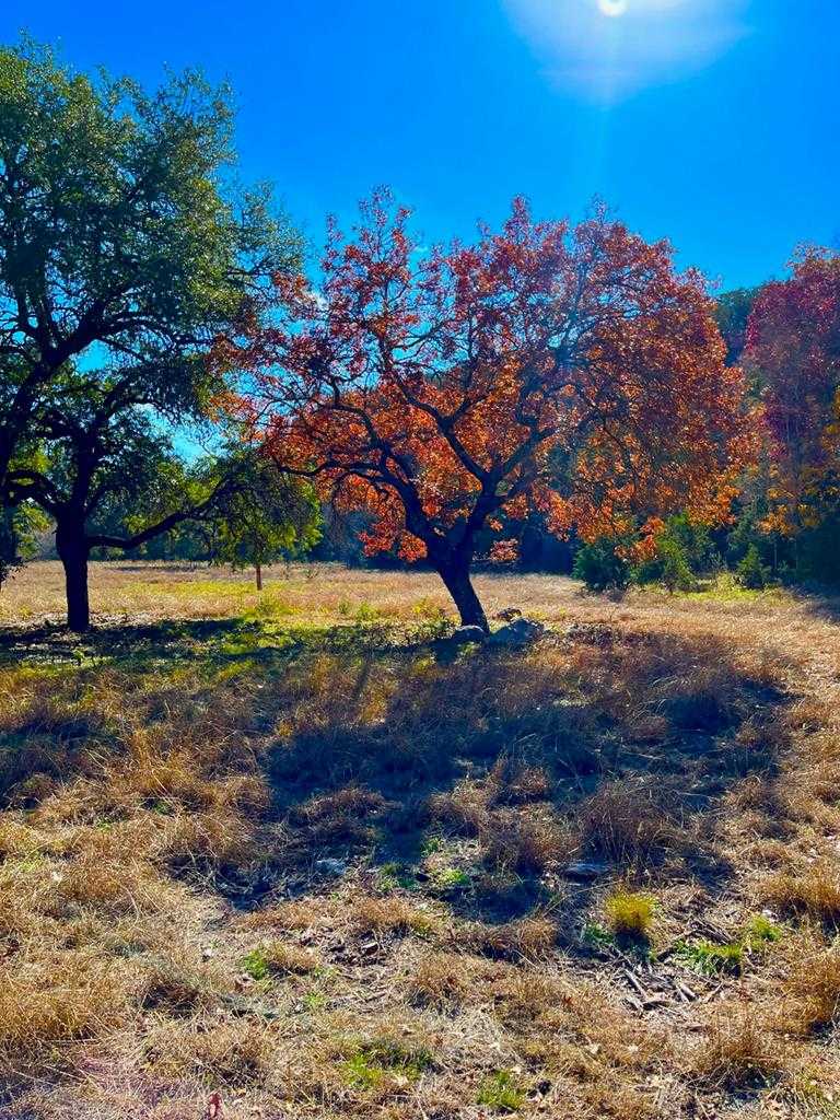 photo 1: Lot 135 N Shapen Springs Rd, Harper TX 78631