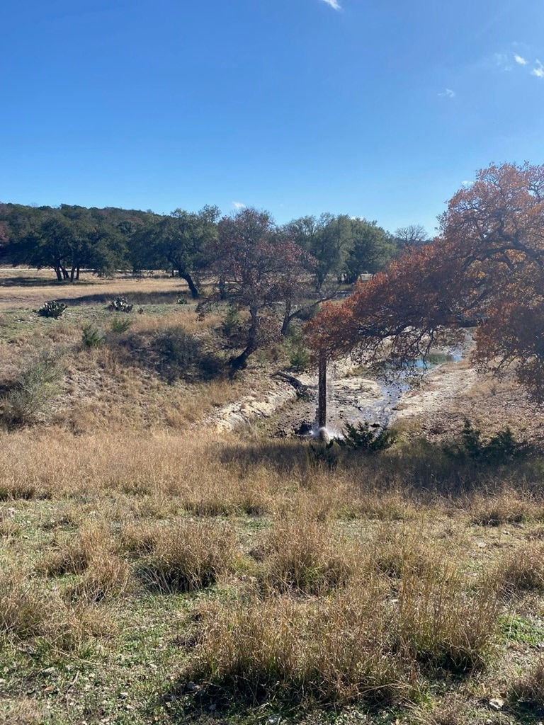 photo 2: Lot 135 N Shapen Springs Rd, Harper TX 78631