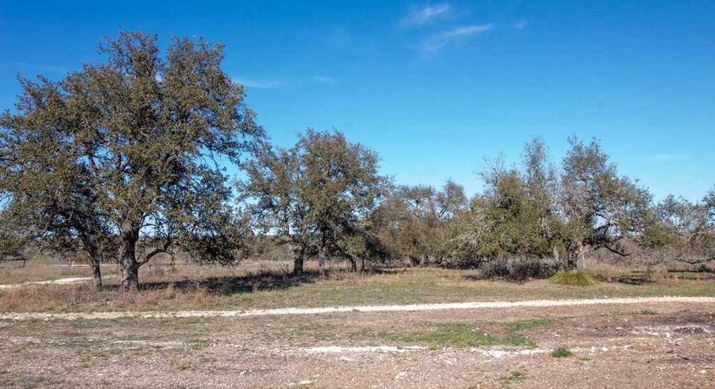 photo 1: 123 Lipan Loop, Harper TX 78631