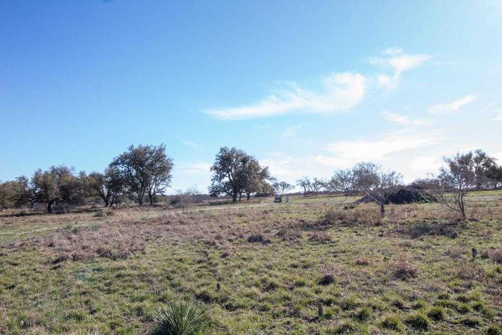 photo 2: 123 Lipan Loop, Harper TX 78631