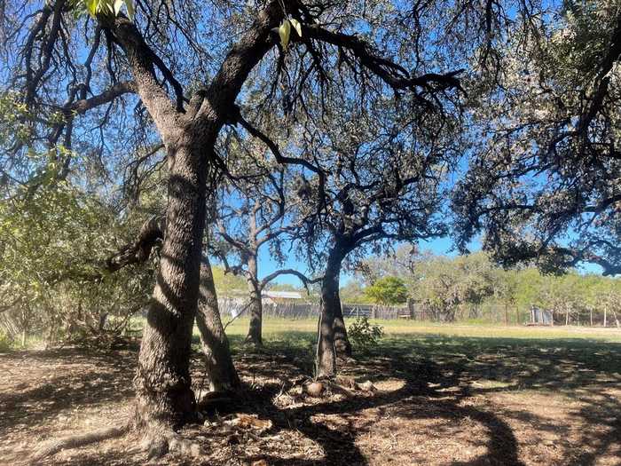 photo 8: Dry Creek Rd, Barksdale TX 78828