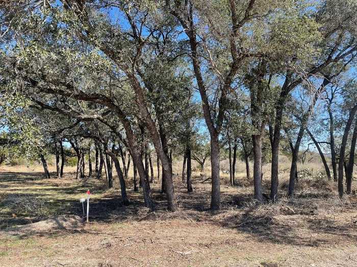 photo 1: Hwy 55, Camp Wood TX 78833