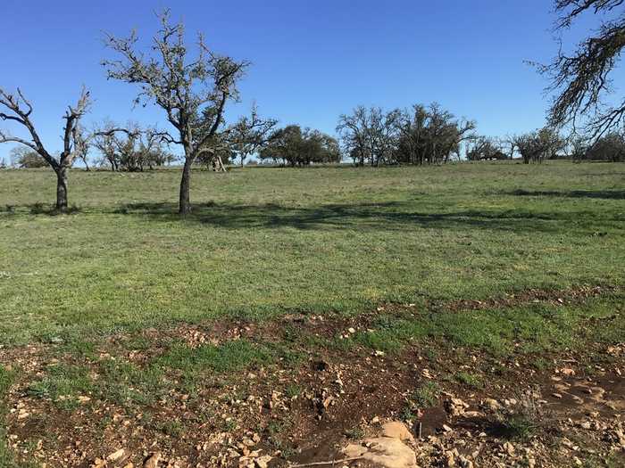 photo 2: 134 Cliff View Lp, Harper TX 78631