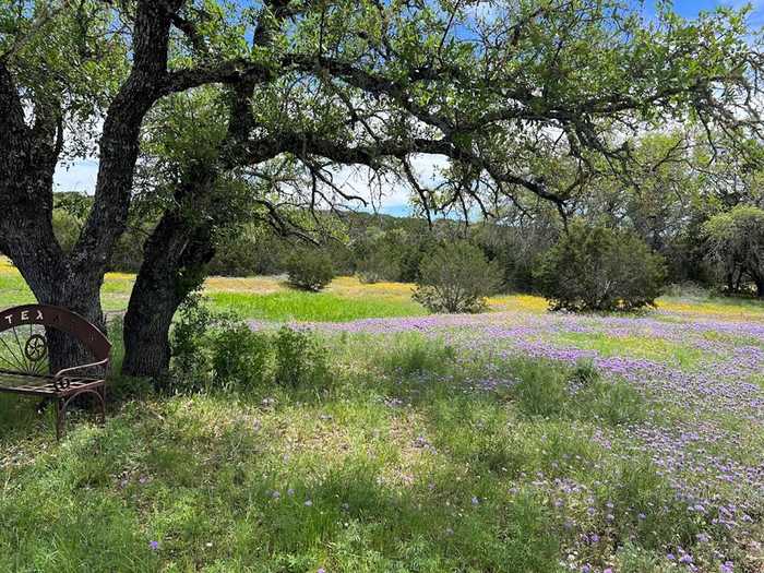 photo 45: 171 Deadend Rd, Mountain Home TX 78058