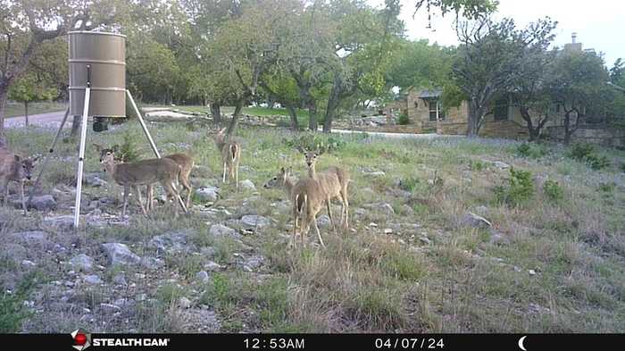 photo 78: 136 Thunder Rd, Kerrville TX 78028