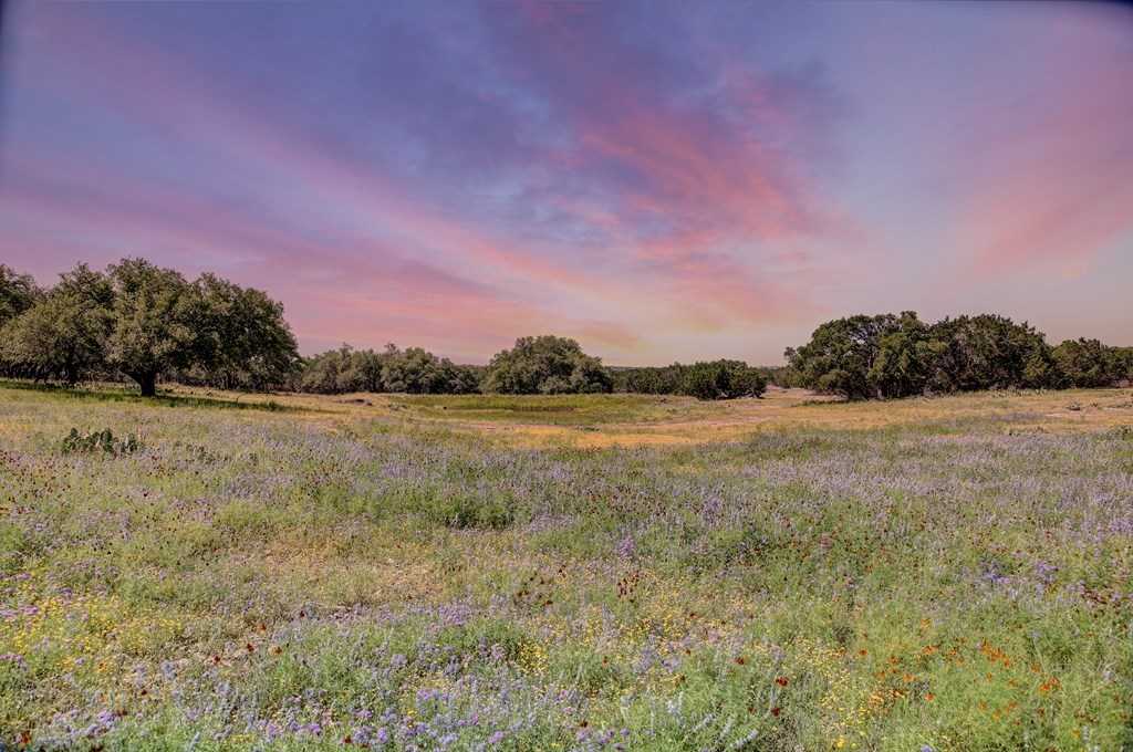 photo 3: 419 Yellowstone Lane, Hunt TX 78024