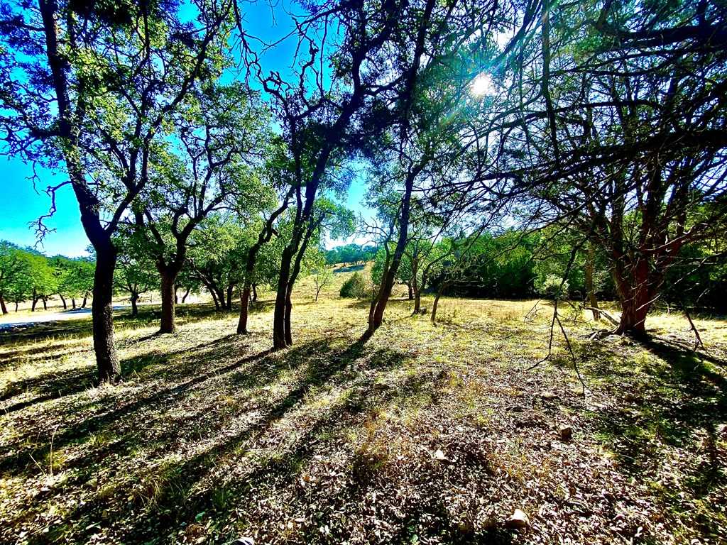 photo 2: 627 N Lake Ridge, Kerrville TX 78028