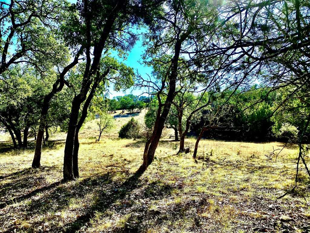 photo 3: 627 N Lake Ridge, Kerrville TX 78028