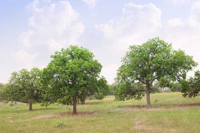 photo 2: Lot 47 Dillon Ridge Dr, Kerrville TX 78028