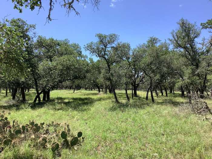 photo 1: 477 Burrus Ranch Rd, Mountain Home TX 78058