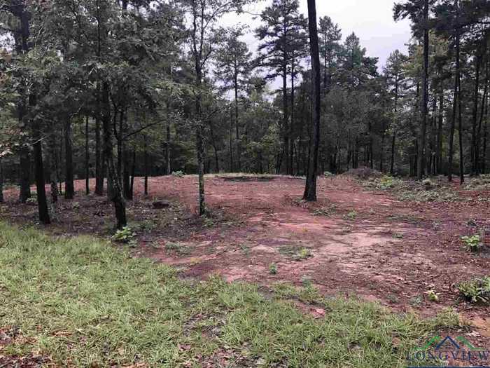 photo 1: LOT 4 LAKE GLADEWATER RD, Gladewater TX 75647