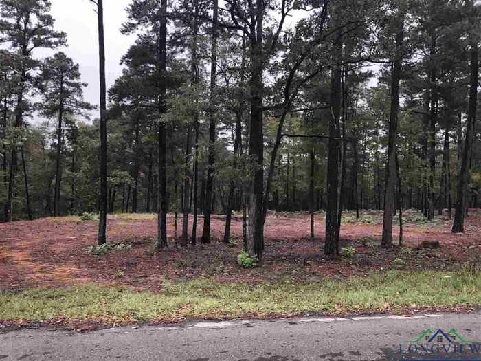 photo 2: LOT 4 LAKE GLADEWATER RD, Gladewater TX 75647