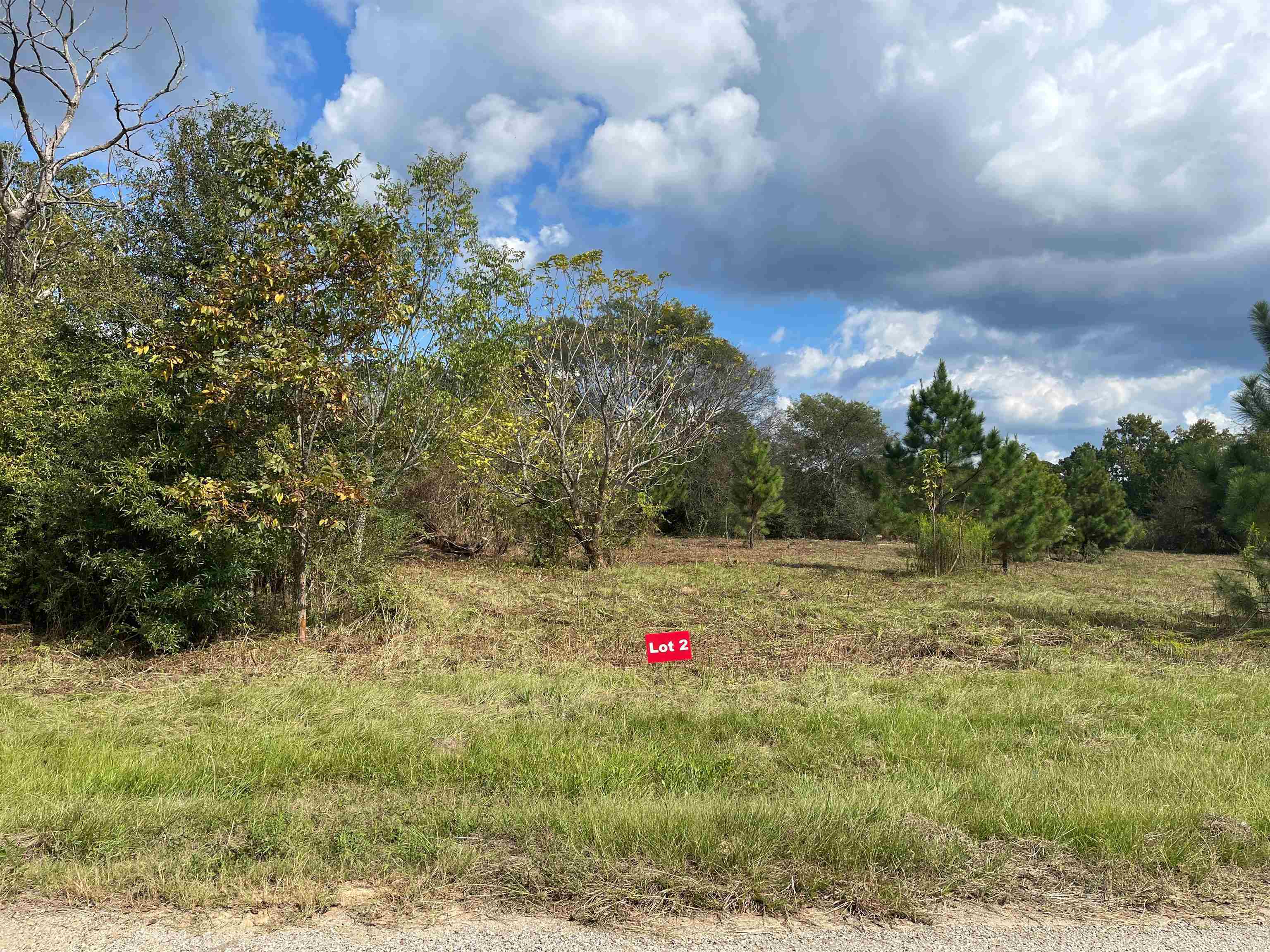 photo 1: TBD Lot 2 CR 2204 D & FM 1797, Tatum TX 75691