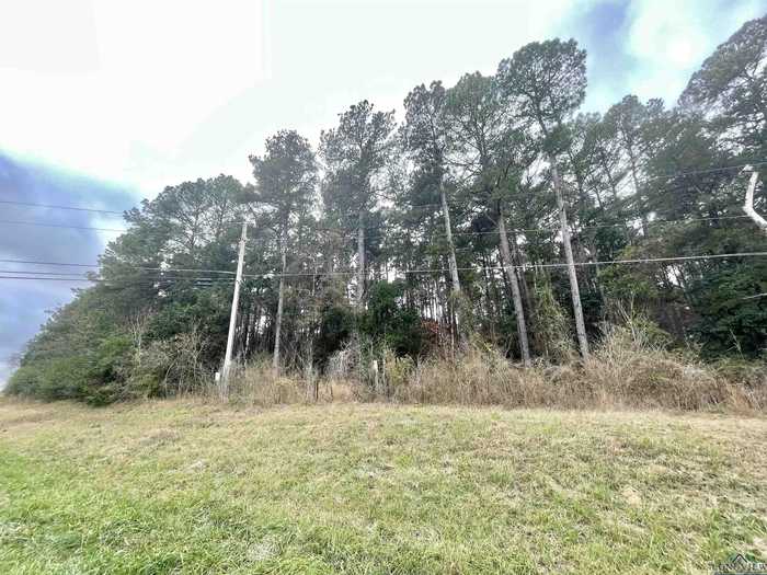 photo 2: TBD BROADNAX STREET, Daingerfield TX 75638