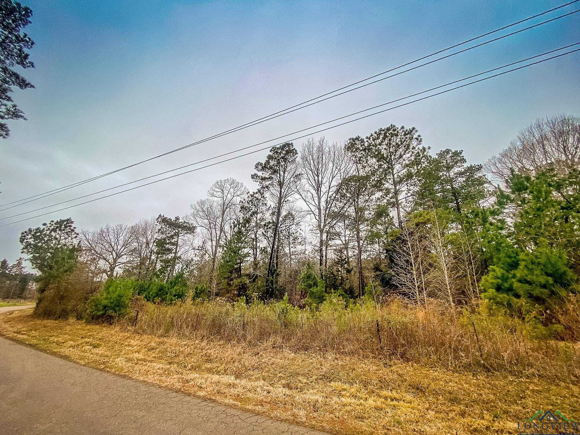 photo 2: LOT 1 MAPLE SPRINGS RD, Hallsville TX 75650