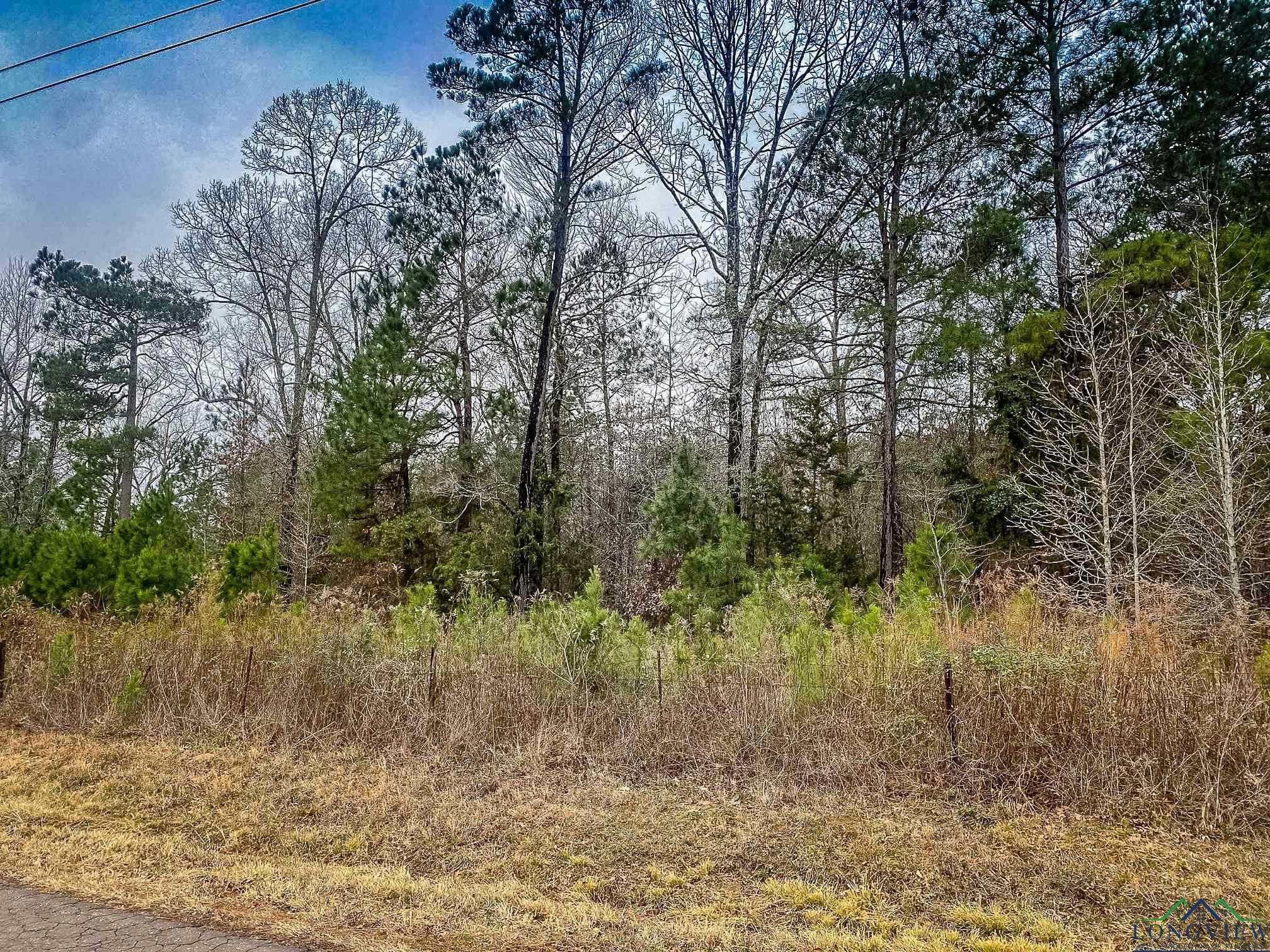 photo 3: LOT 1 MAPLE SPRINGS RD, Hallsville TX 75650