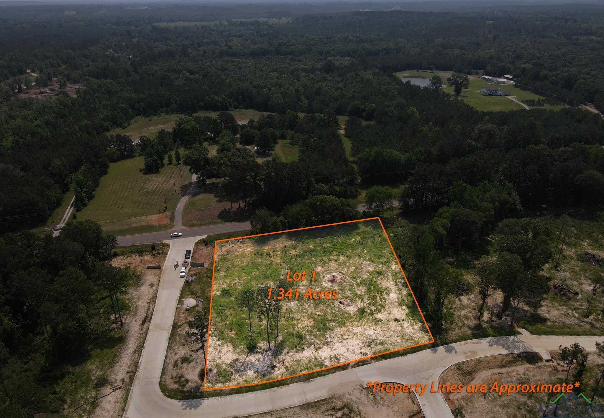 photo 2: LOT 1 SOUTHERN PINES, Hallsville TX 75650