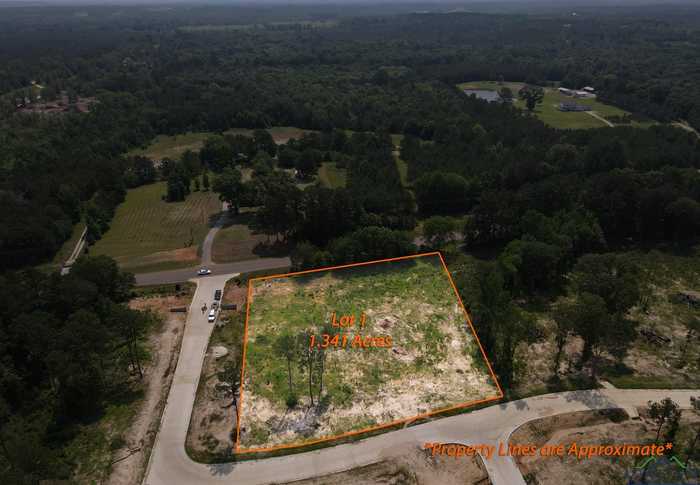 photo 2: LOT 1 SOUTHERN PINES, Hallsville TX 75650