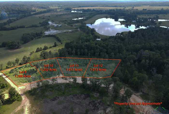 photo 2: LOT 9 SOUTHERN PINES, Hallsville TX 75650