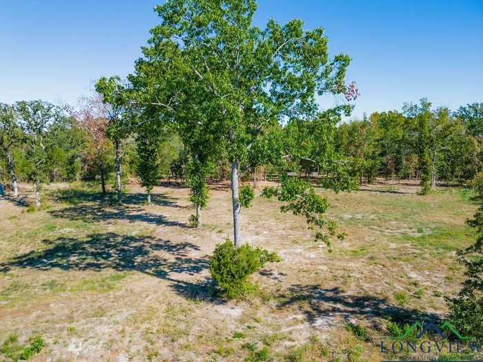 photo 1: TBD Angus (lot 6), Big Sandy TX 75755