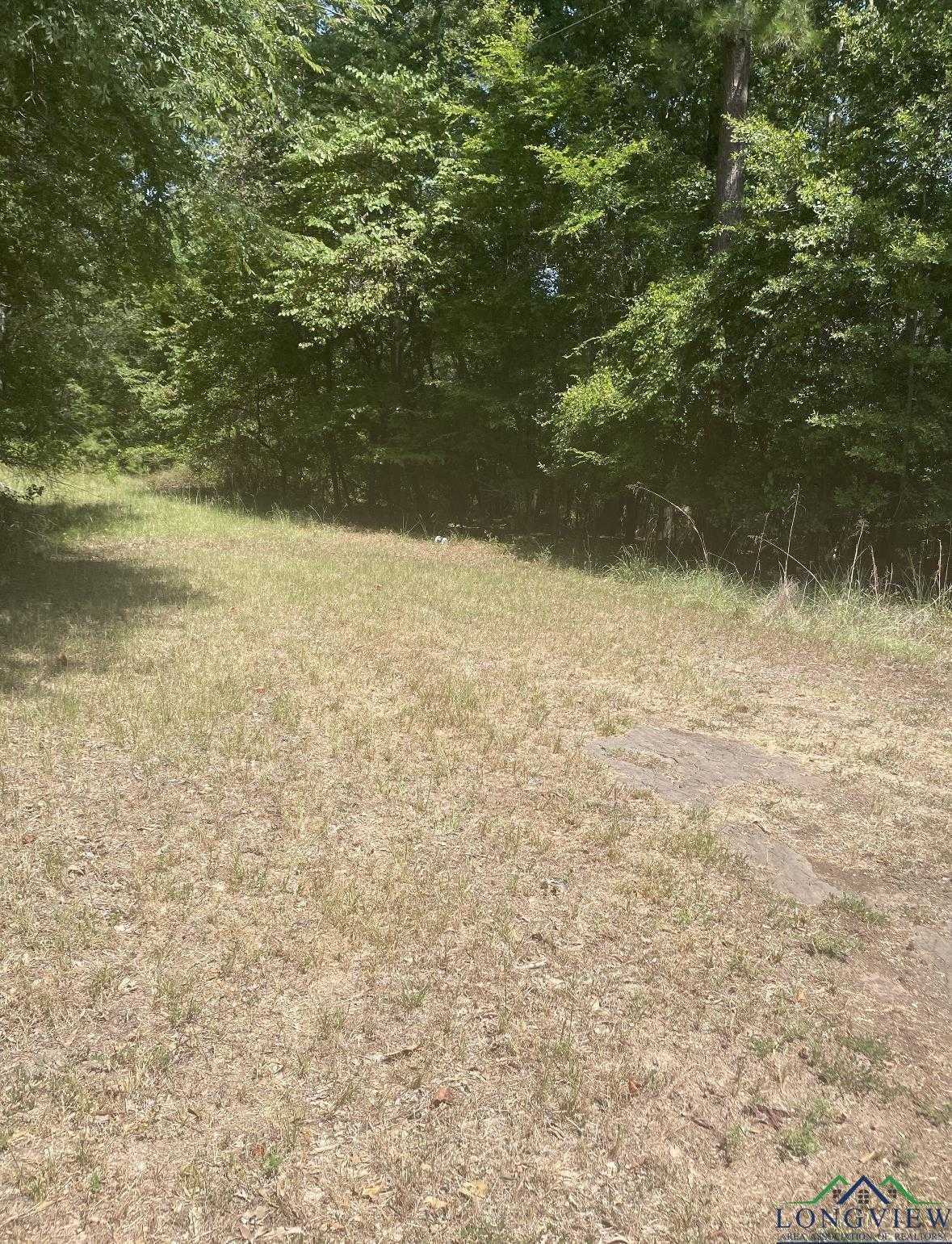 photo 2: TBD 2nd Street, Avinger TX 75630