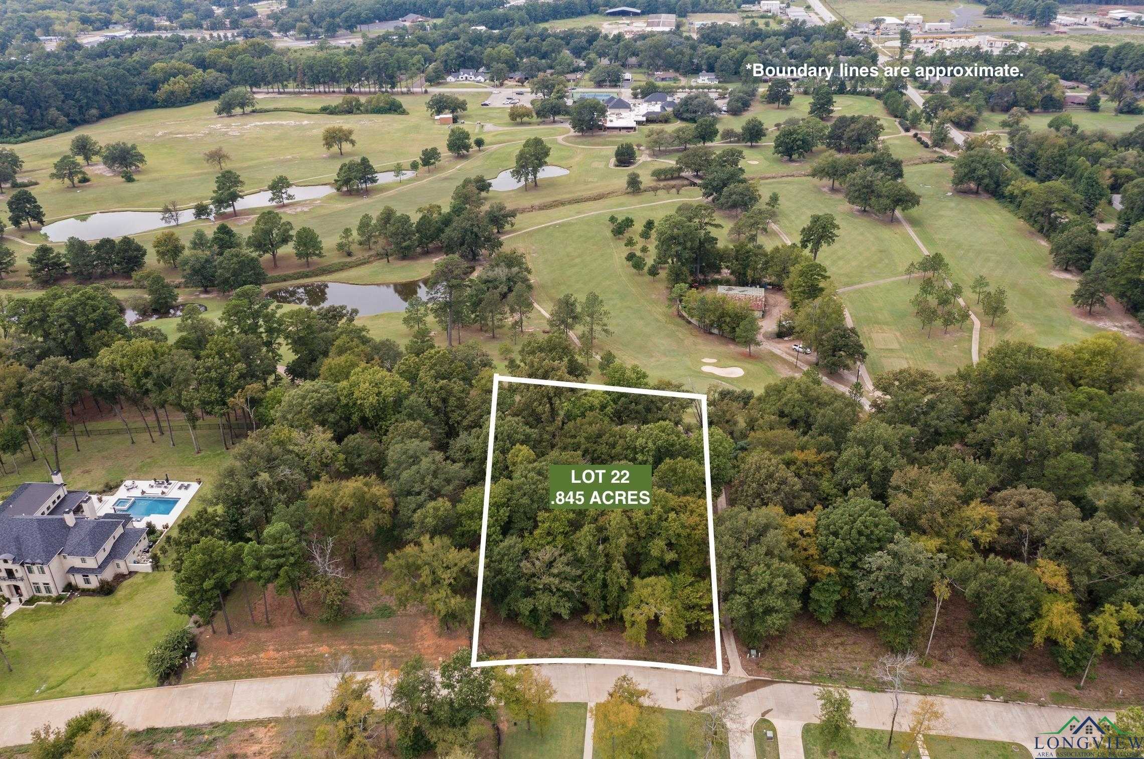 photo 3: 207 Longleaf Drive, Longview TX 75602