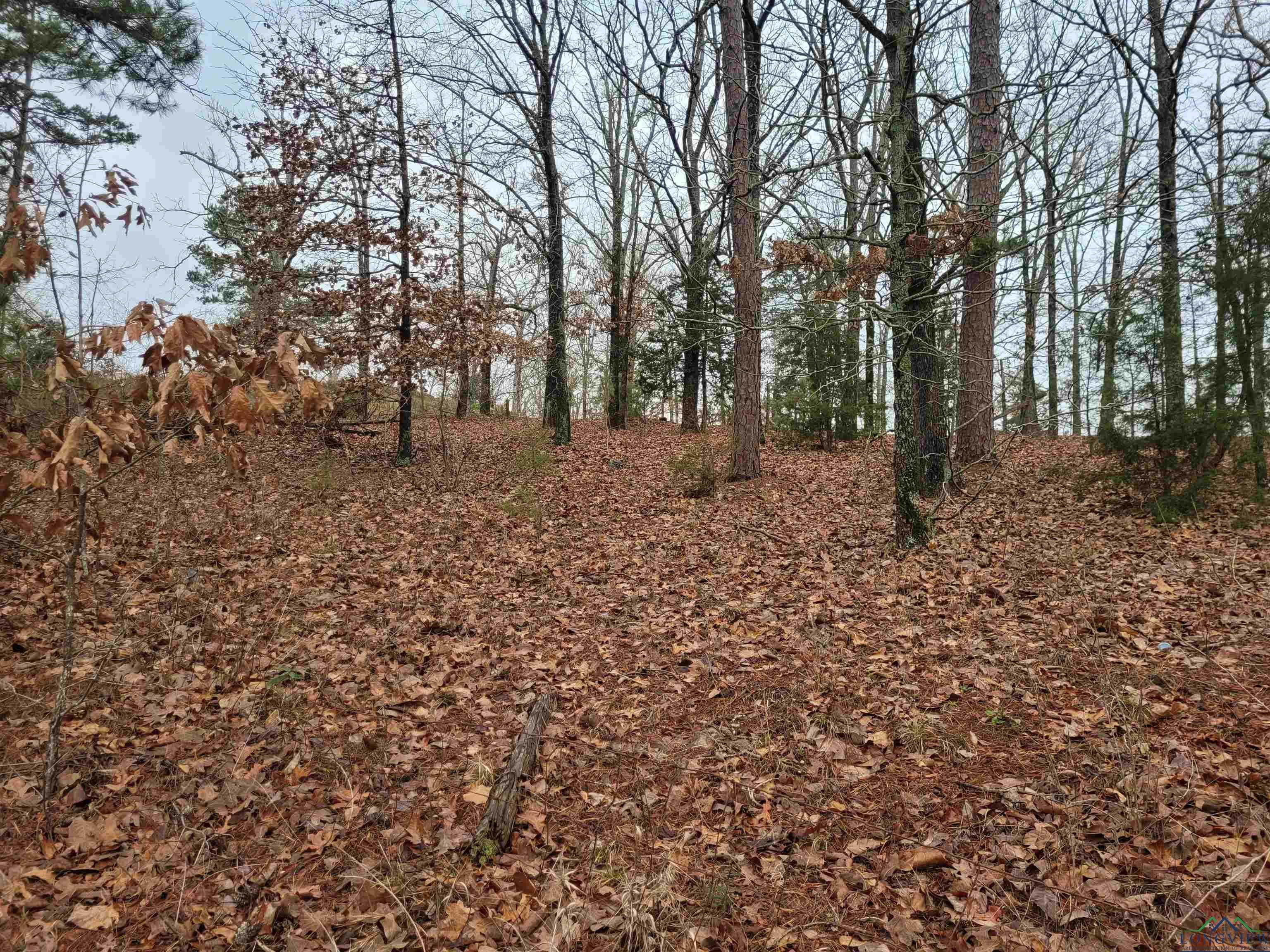 photo 1: TBD WHITE FIR, Gladewater TX 75647